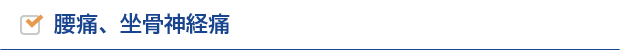 腰痛、坐骨神経痛